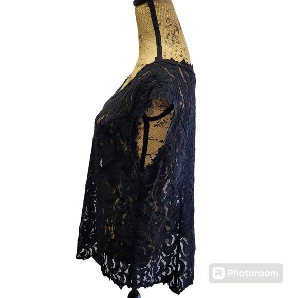 Soft Surroundings Sheer Blouse Wmns SZ Large Whimsygoth Lace Dark Romantic Sheer - Picture 2 of 4